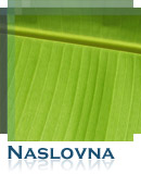 Naslovna