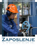 Zaposlenje